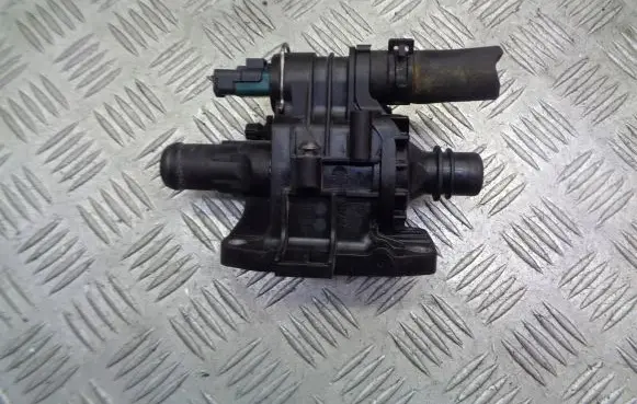 Thermostat/thermostat housing