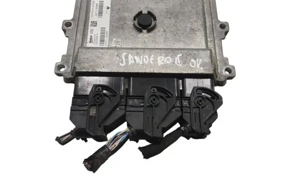 Engine control unit/module ECU