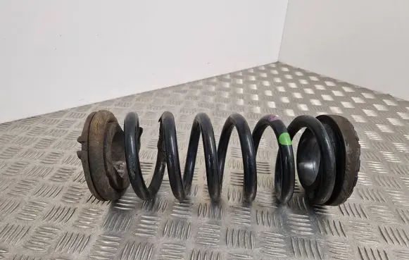 Rear coil spring