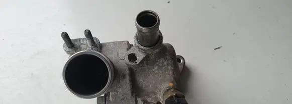 Thermostat/thermostat housing