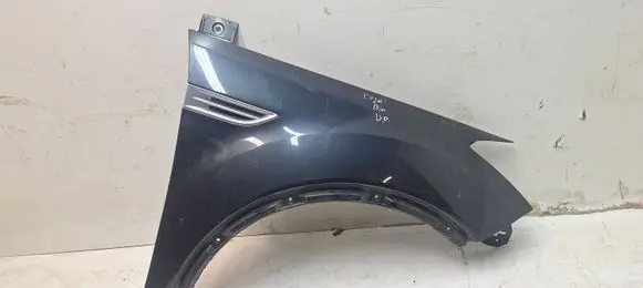 Fender