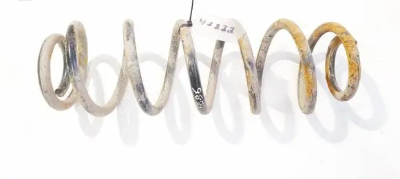 Rear coil spring