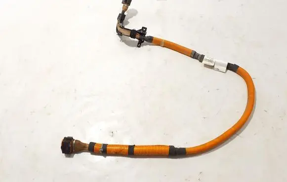 Renault Kangoo III Other wiring loom 240808513R