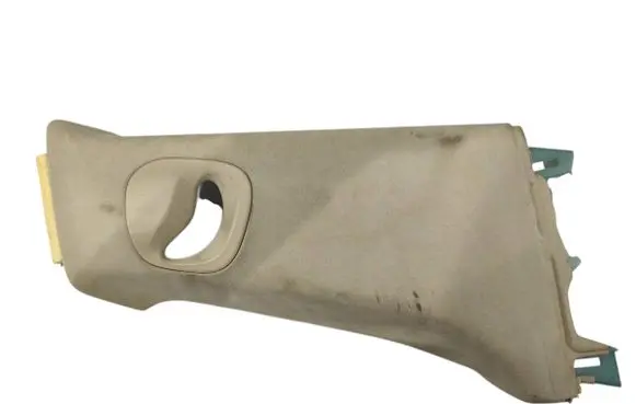 Tesla Model S (B) pillar trim (top) 102161300A