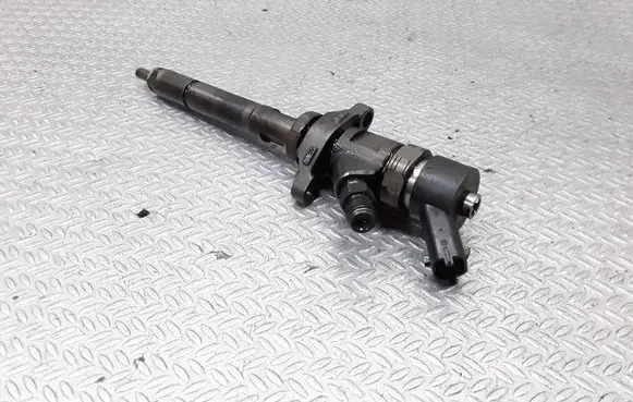 Citroen C5 Fuel injector 0445110259