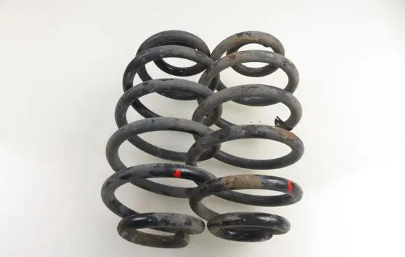 Rear coil spring