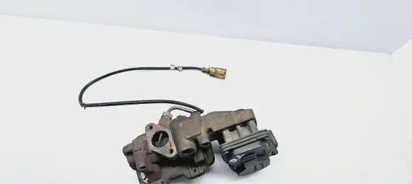 Volkswagen Multivan T5 EGR valve 523901020