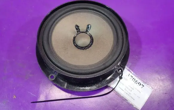 Skoda Octavia Mk2 (1Z) Front door speaker 
