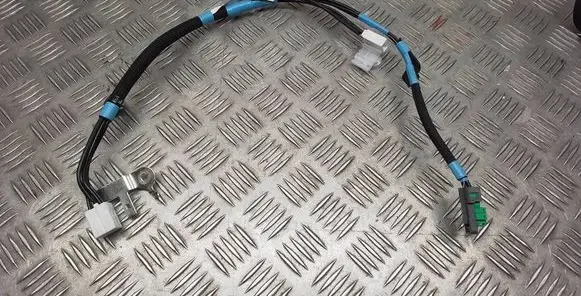 Lexus RX V Other wiring loom 861014D750