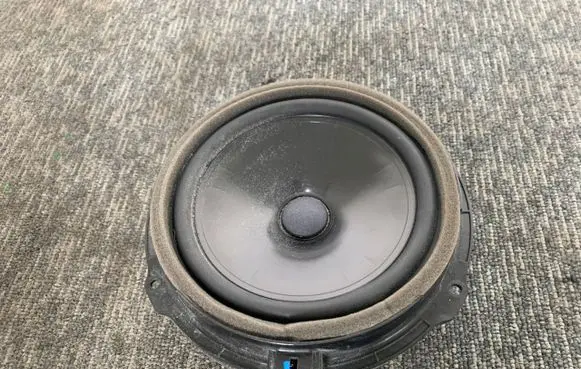 Ford Mustang V High frequency speaker in the rear doors 