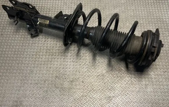 Nissan Qashqai Front shock absorber with coil spring 824903007720