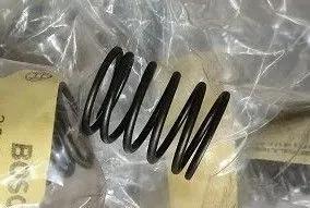 Front coil spring