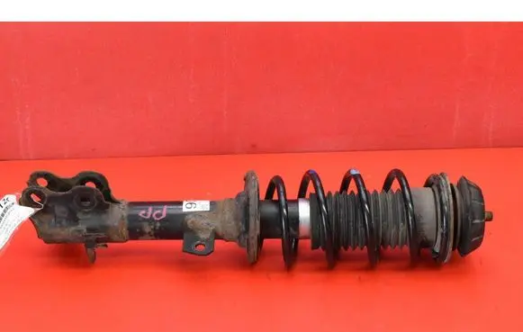 Suzuki Ignis Front shock absorber/damper 4160162R60