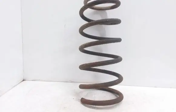 Front coil spring