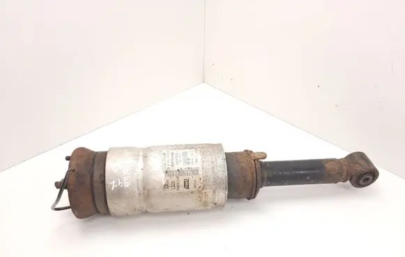Land Rover Range Rover Sport L320 Front air suspension shock absorber 22257272