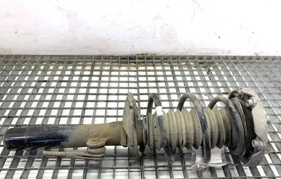 BMW X1 F48 F49 Front shock absorber/damper 6884181