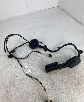 Rear door wiring loom