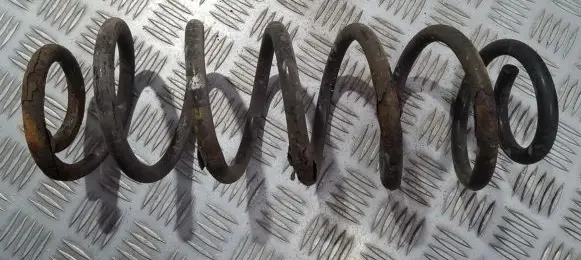 Rear coil spring