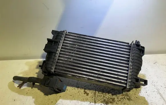 Opel Meriva A Intercooler radiator T2938004 4310