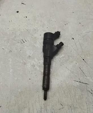 Peugeot 406 Fuel injector 9637536080