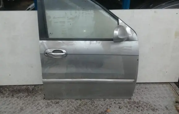 KIA Carnival Front door