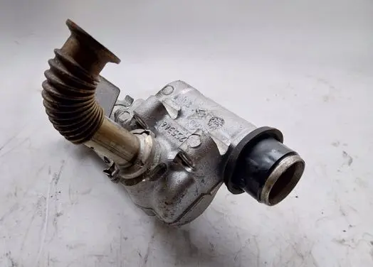 Renault Clio II EGR valve EGRVALVE 255366