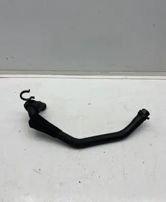 Dacia Spring Engine coolant pipe/hose 295M10481R 210101HH