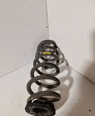 Rear coil spring