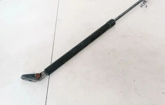 Tailgate/trunk strut/damper