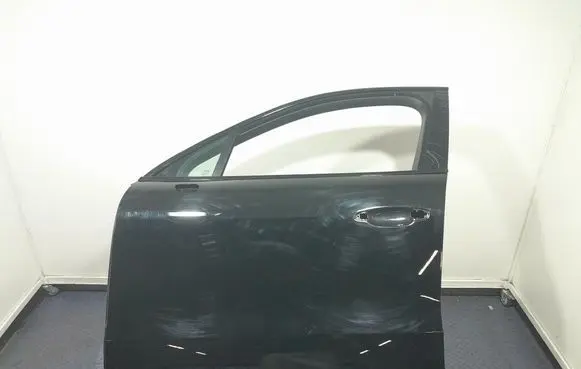Porsche Cayenne (9PA) Front door 