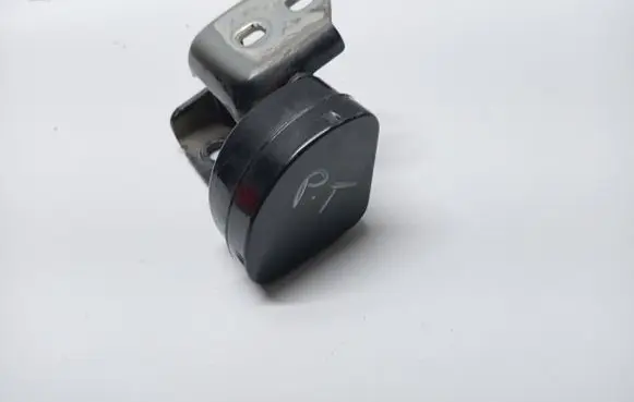 Renault Megane II Rear door lower hinge