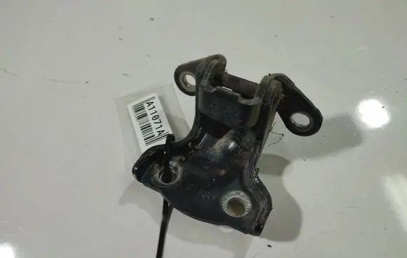 Chevrolet Captiva Rear door lower hinge 