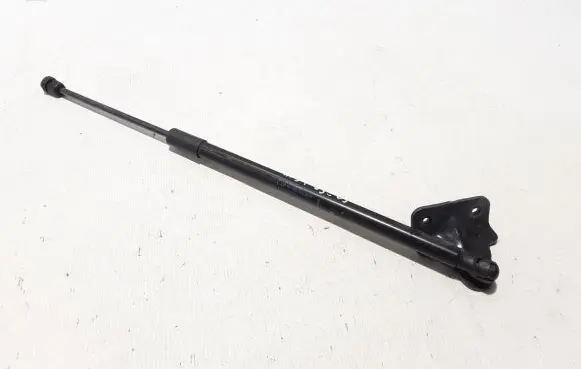 Tailgate strut