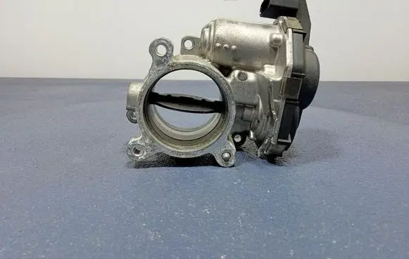 Throttle body valve
