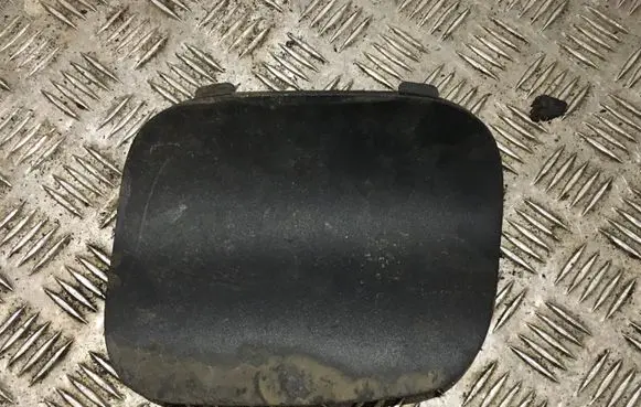 BMW X5 E53 Rear bumper row hook cap/cover 8244439