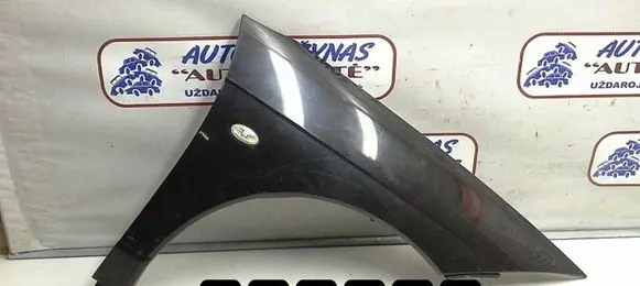 Citroen C6 Fender
