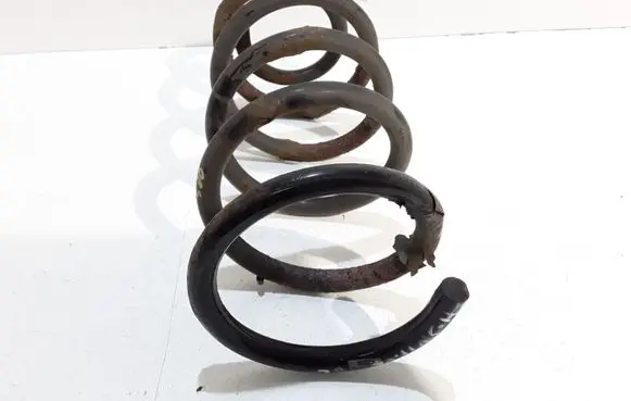 Hyundai Santa Fe Rear coil spring