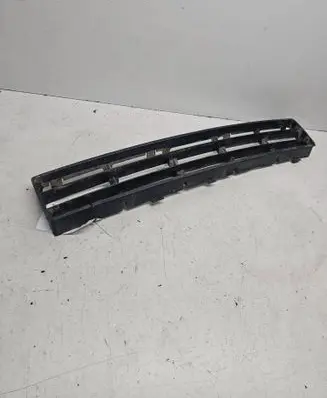 Front bumper lower grill