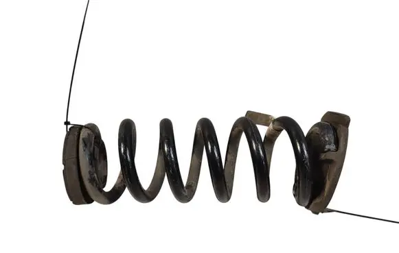 Rear coil spring