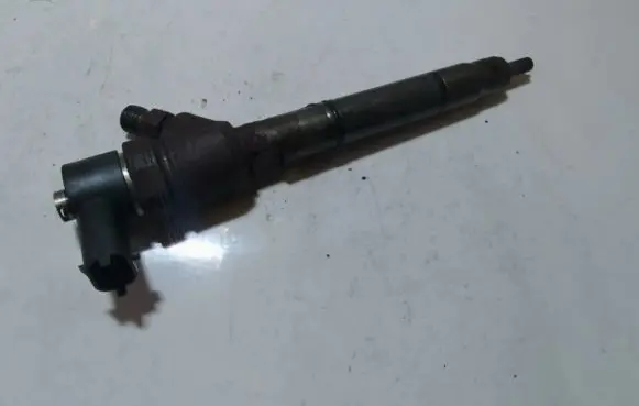 Hyundai i30 Fuel injector 0445110320 338002a900