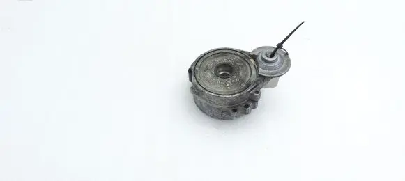 Jaguar XF X250 Generator/alternator belt tensioner 16183P