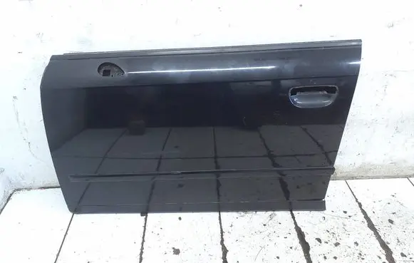 Seat Exeo (3R) Front door 