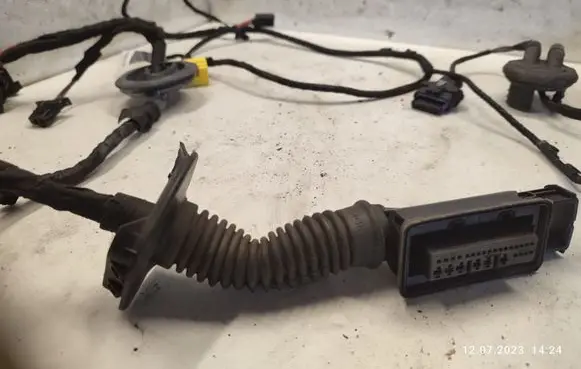 Audi A5 8T 8F Front door wiring loom 8T0971030AG