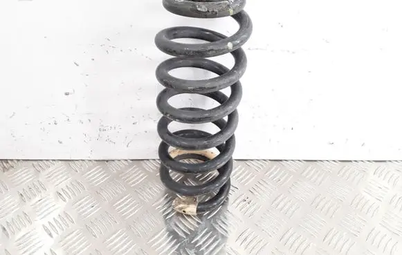 Rear coil spring