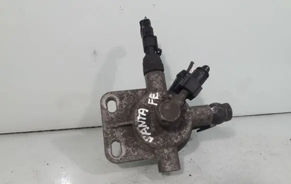 Hyundai Santa Fe Fuel filter DHF2400010