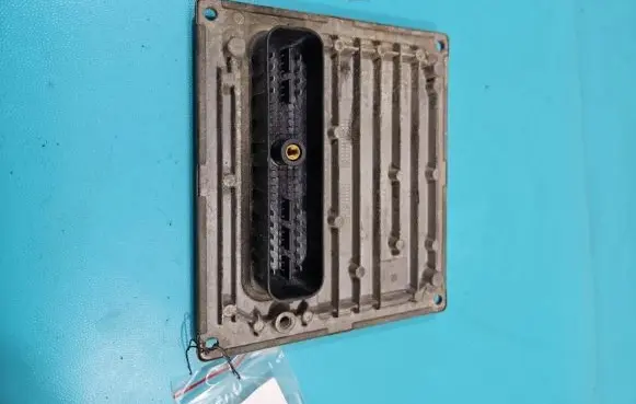 Engine control unit/module ECU