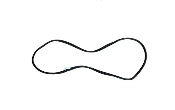 BMW X3 G01 Front door rubber seal 7393423