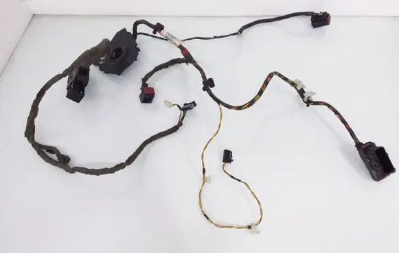 Front door wiring loom