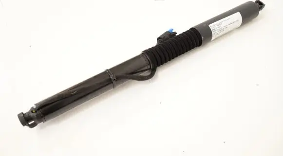 Tailgate/trunk strut/damper
