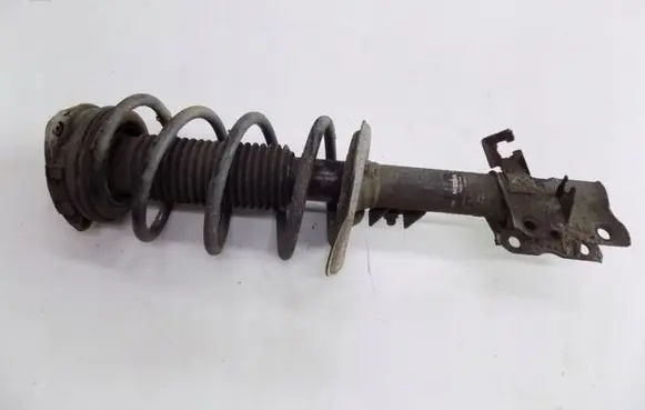 Nissan Qashqai Front shock absorber with coil spring 8200xxwfrew9w1